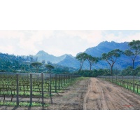 ac0218_-_winter_vines_groot_constantia