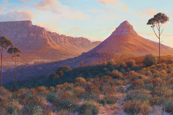 Summer Dusk, Table Mountain painting