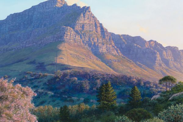 Summer Delight, Table Mountain painting