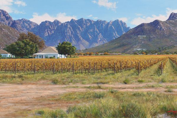 A Walk In The Vineyard, Rawsonville painting