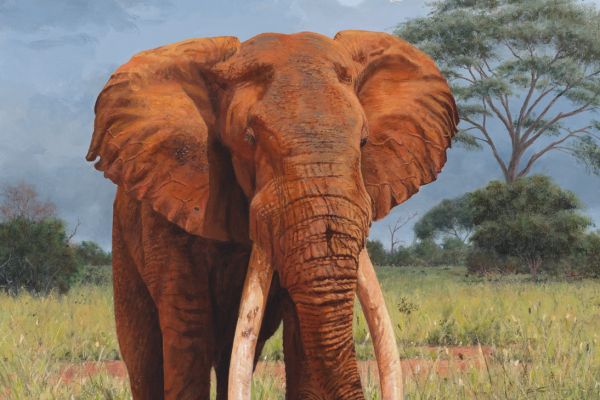 Lugard, A Tsavo Big Tusker painting