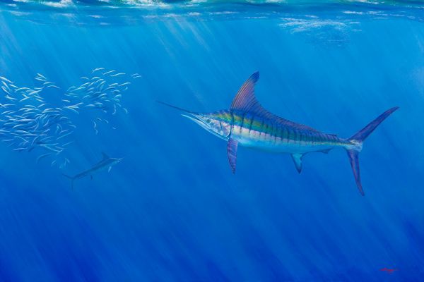 Marlin painting