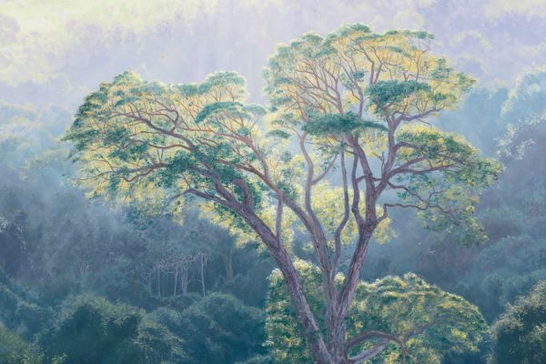 Ancient Grace, Nature's Valley painting