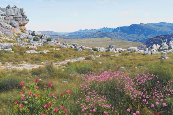 View to Citrusdal, Groot Winterhoek painting