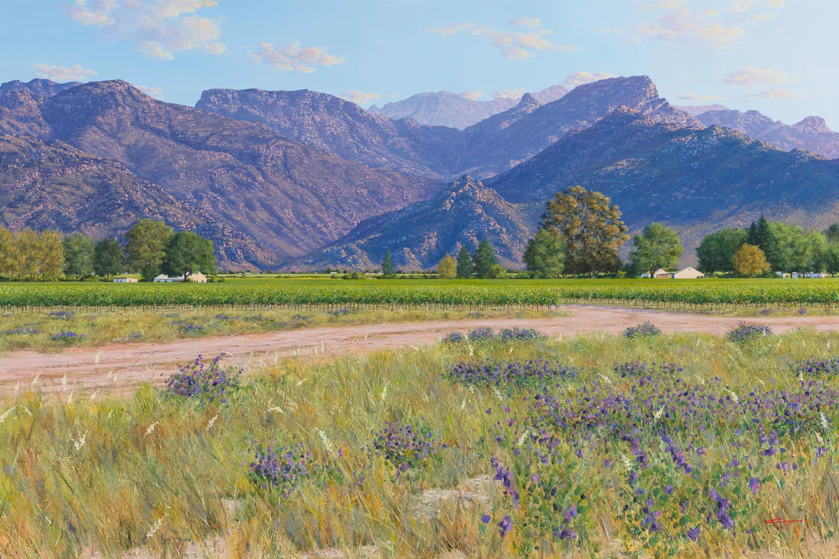 Available Andrew Cooper paintings for sale