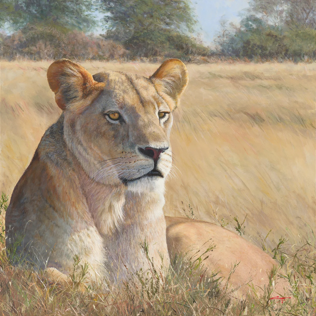 Available Andrew Cooper paintings for sale