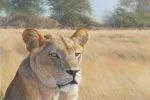 African wildlife paintings