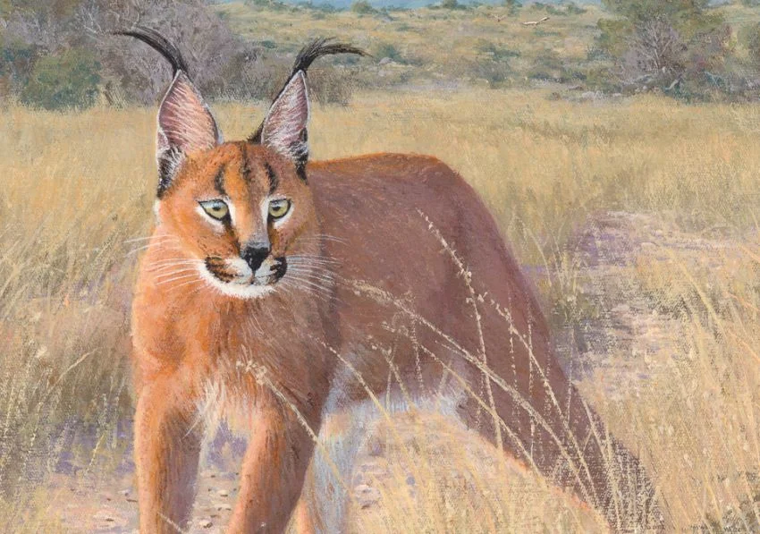 African wildlife paintings