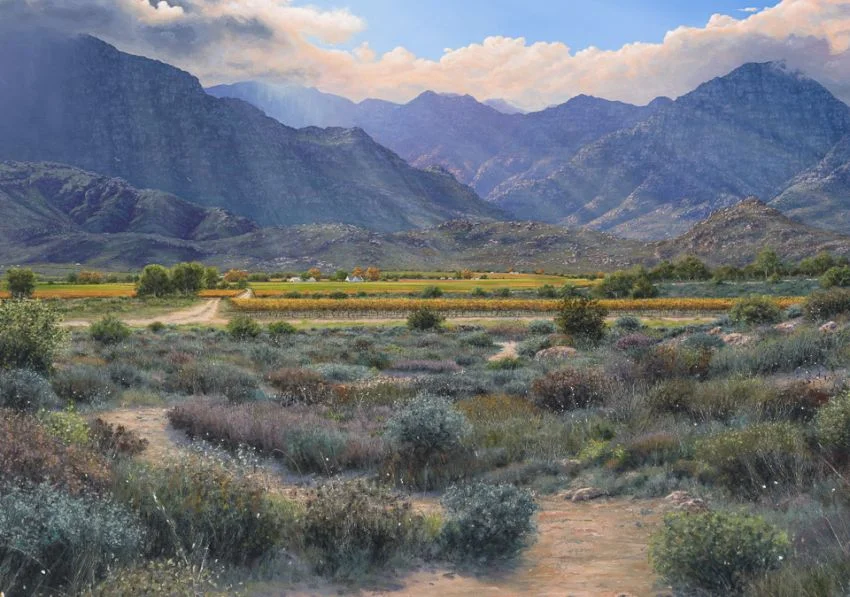Western Cape landscape paintings